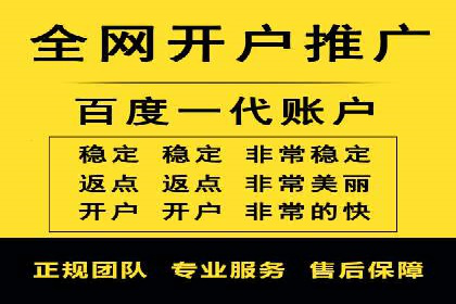 竞价SEM助力电商平台快速提升流量